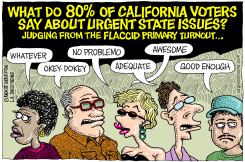 LOCAL-CA CALIFORNIA PRIMARY TURNOUT by Wolverton