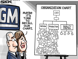 GM DISORGANIZATION by Steve Sack