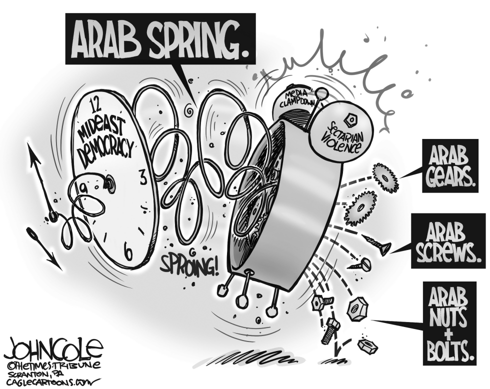  ARAB SPRING by John Cole