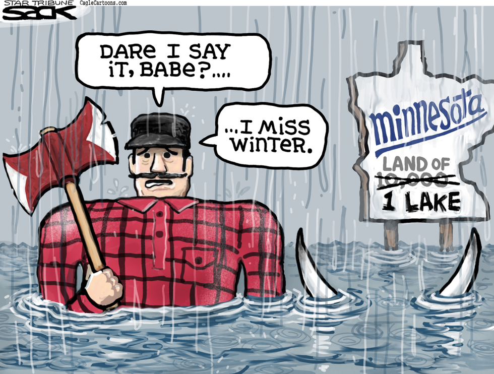  MINNESOTA RAINFALL by Steve Sack