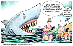 GREAT WHITE SHARKS MULTIPLY by Dave Granlund