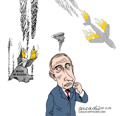 PUTIN Y EL DERRIBO DEL AVIóN EN UCRENIA by Arcadio Esquivel