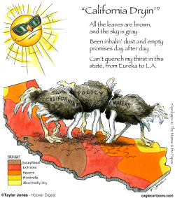 CALIFORNIA DROUGHT by Taylor Jones