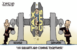 LOCAL NC HOUSE AND SENATE BUDGET BATTLE by John Cole