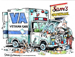 VA OVERHAUL by Dave Granlund