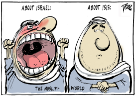 MUSLIMS AND ISIS by Tom Janssen