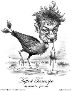 RAND PAUL - STRANGE BIRD by Taylor Jones