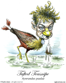 RAND PAUL - STRANGE BIRD  by Taylor Jones