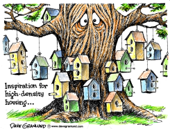 HIGH-DENSITY HOUSING by Dave Granlund