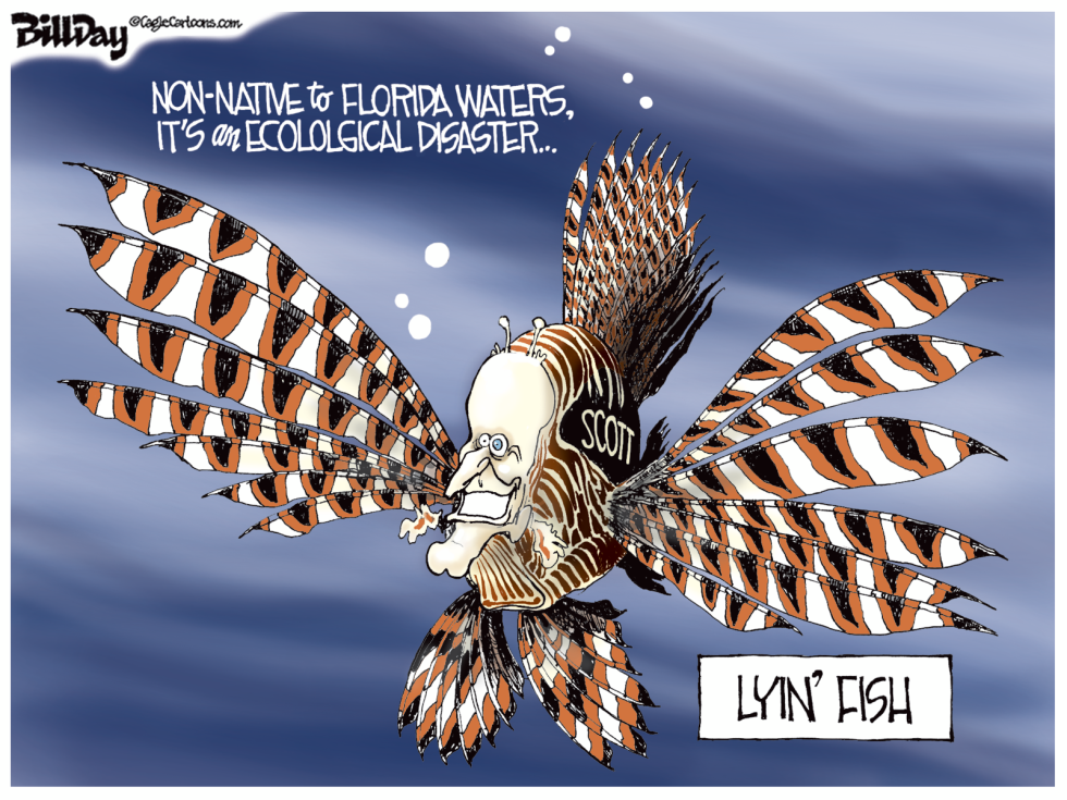  LOCAL FL LYIN' FISH   by Bill Day