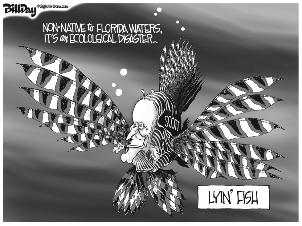  LOCAL FL  LYIN' FISH  by Bill Day