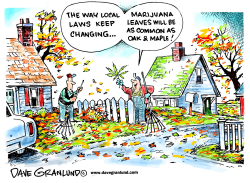 MARIJUANA LAWS by Dave Granlund