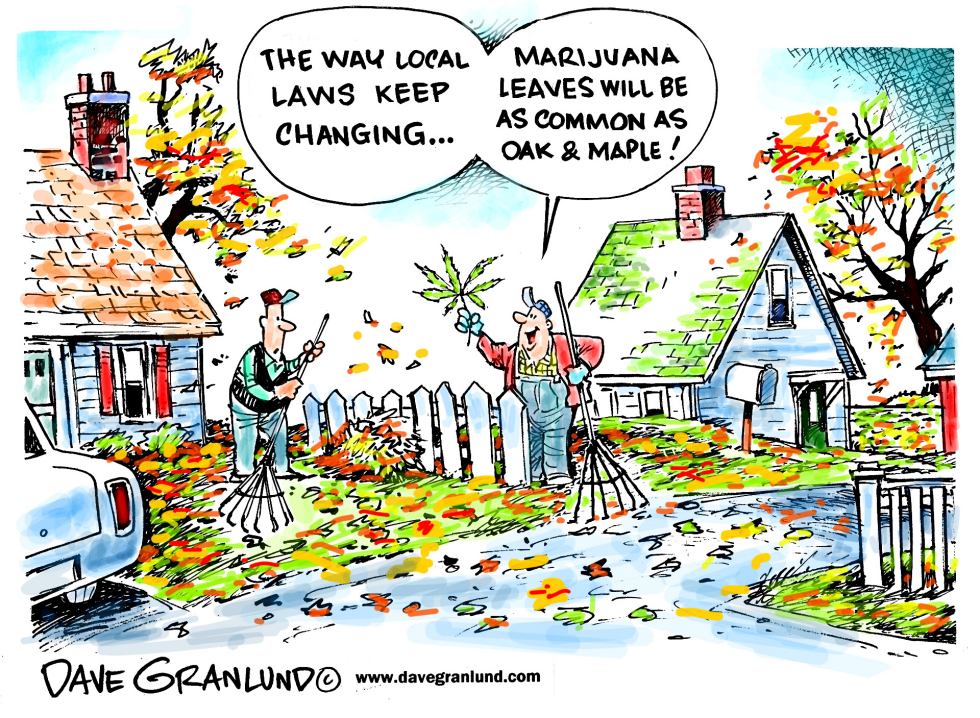  MARIJUANA LAWS by Dave Granlund