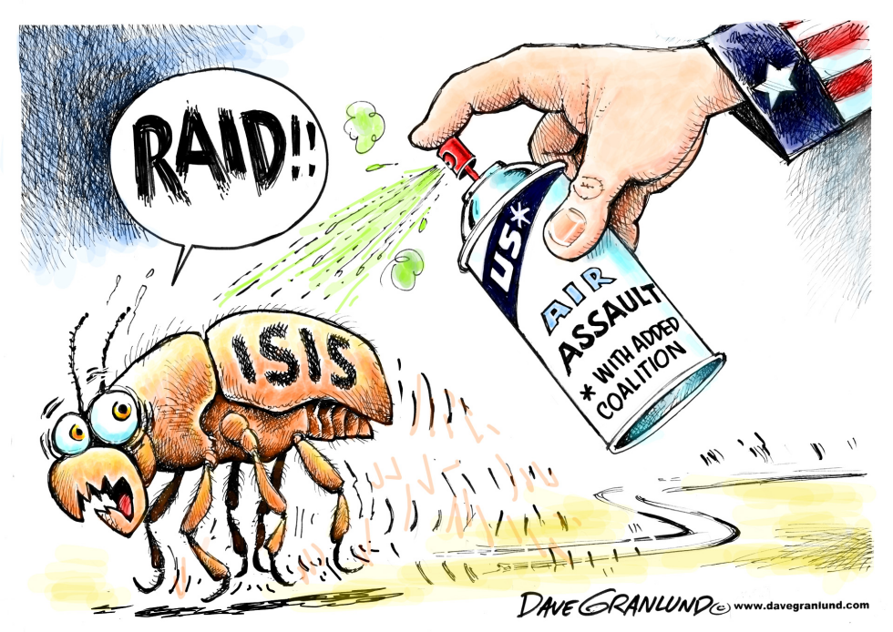  US BOMBS ISIS by Dave Granlund