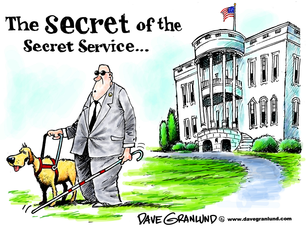  SECRET OF THE SECRET SERVICE by Dave Granlund