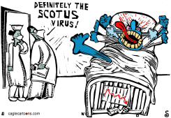 SCOTUS VIRUS by Randall Enos