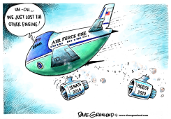 DEMOCRATS LOSE SENATE 2014 by Dave Granlund