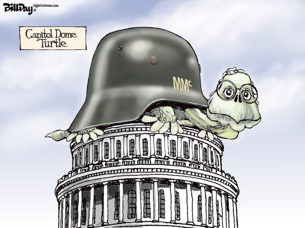  CAPITOL DOME TURTLE    by Bill Day