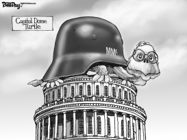 CAPITOL DOME TURTLE    by Bill Day