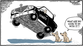 GOP CONTROLS SENATE by Bob Englehart