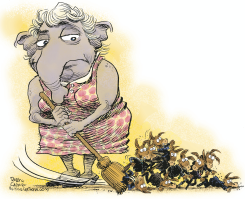 ELECTION SWEEP by Daryl Cagle