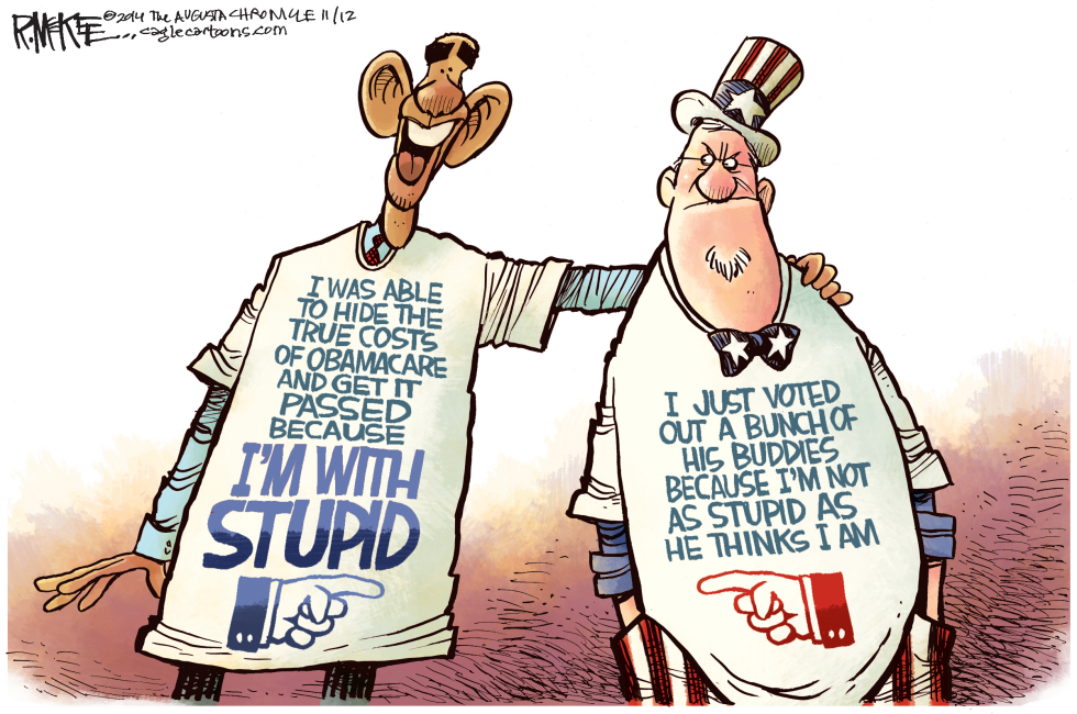  STUPID OBAMACARE VOTER by Rick McKee