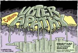 LOCAL-CA VOTER APATHY by Wolverton