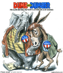 DUMB AND DUMBER  by Taylor Jones