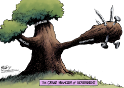 BRANCHES OF GOVERNMENT by Nate Beeler