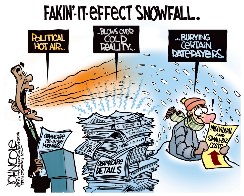  OBAMACARE SNOW JOB by John Cole