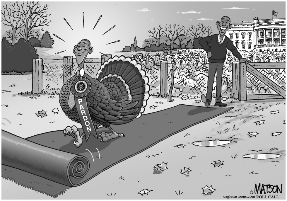  PRESIDENT OBAMA PARDONS OBAMA TURKEY by RJ Matson