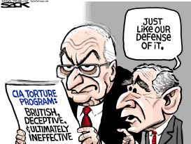 TORTURE REPORT by Steve Sack