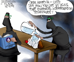 ISIS' ENHANCED INTERROGATION by Gary McCoy