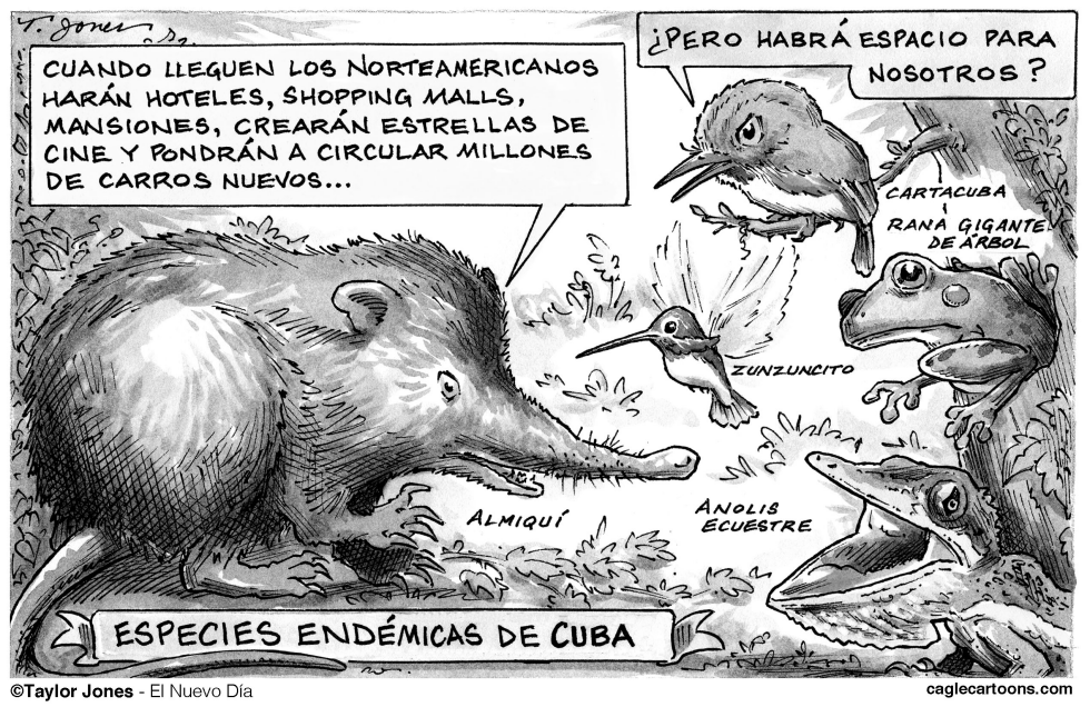  PROBLEMAS EN EL PARAíSO CUBANO by Taylor Jones