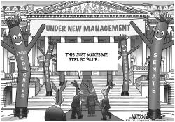 US SENATE UNDER NEW MANAGEMENT by RJ Matson