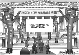 US SENATE UNDER NEW MANAGEMENT by RJ Matson