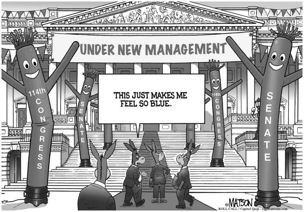  US SENATE UNDER NEW MANAGEMENT by RJ Matson