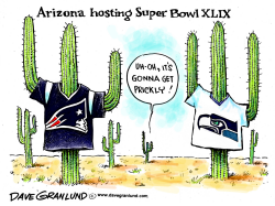 SUPER BOWL XLIX by Dave Granlund