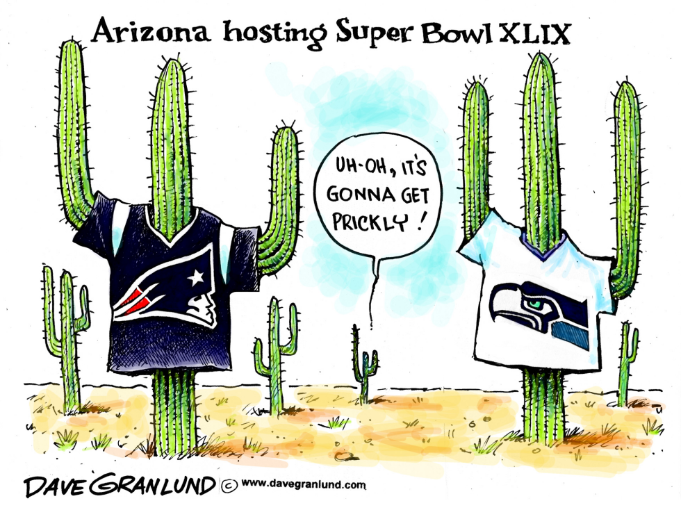  SUPER BOWL XLIX by Dave Granlund