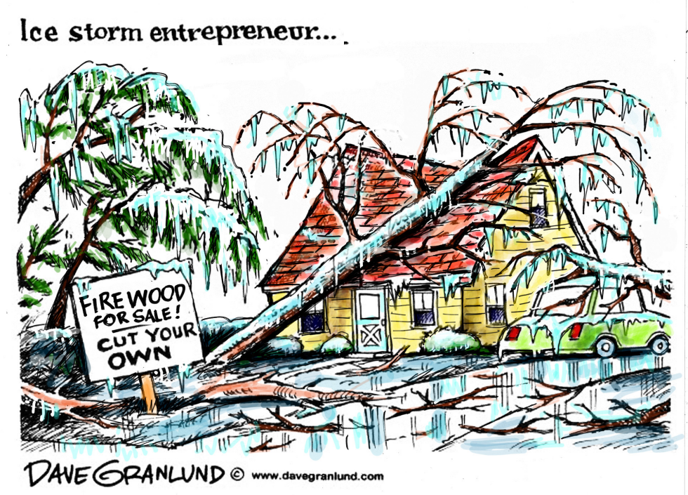  ICE STORM by Dave Granlund