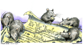 WE THE RODENTS  by Taylor Jones