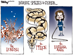 LOCAL FL INVASIVE SPECIES   by Bill Day