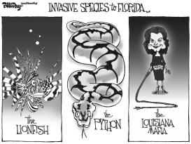 LOCAL FL  INVASIVE SPECIES by Bill Day