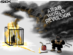 ISIS FLAMEOUT by Steve Sack