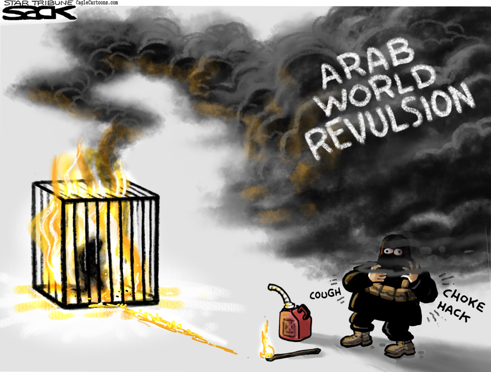  ISIS FLAMEOUT by Steve Sack