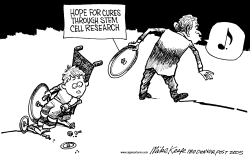 STEM CELL HOPES by Mike Keefe