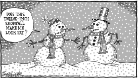 SNOW by Bob Englehart