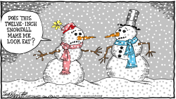 SNOW  by Bob Englehart