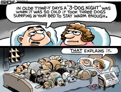 HOT DOGS by Steve Sack