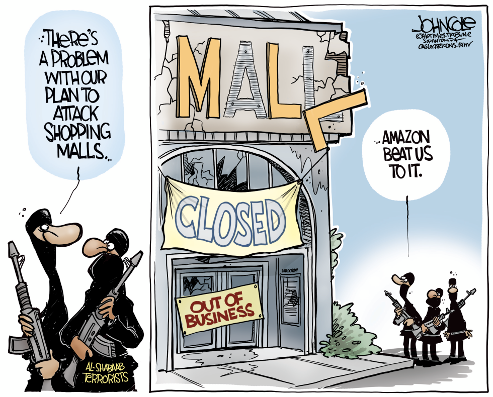  TERRORISTS AND MALLS by John Cole